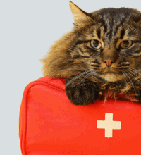 Design uden navn (15).png