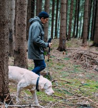 Hund og mand går sammen i en skov.