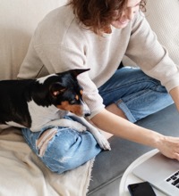 Kvinde der sidder på en sofa med sin computer, mens en hund ligger på hendes skød.