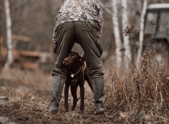 Undgå skader – få din hund sikkert gennem jagtsæsonen