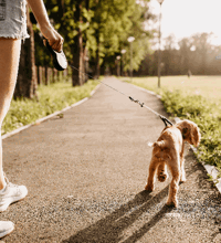 Pige der går med en hund på en sti.